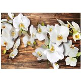  Tapeta - Forest Orchid 400x280 | shoptok.hr