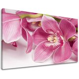  Slike na platnu cveće (moderne slike na platnu) | ePonuda.com