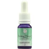 Helping Flowers® nr. 2 alpska vijolica | Shoptok.si