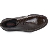 Hugo Lysander_derb_bobr Smeđa | shoptok.hr
