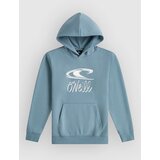 O'neill Essentials Kids Hoodie murky water Cene