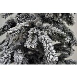 Novogodišnja jelka Kraljevska snežna jela 120 cm | Eponuda.com