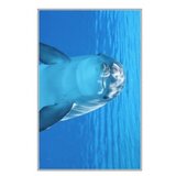 Conceptum Hypnose tepih (100x300) WOOKECE068 | Eponuda.com