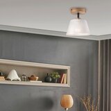  Plafonski luster ANTONIO 1xE14/60W/230V, beli | Eponuda.com