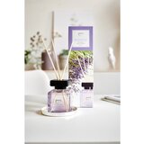 IPURO Dišava za prostor Ipuro ESSENTIALS Lavender Touch (100 ml) | Shoptok.si