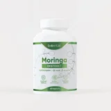 Moringa Ekstrakt 500 mg – Energija, imunitet i podrška metabolizmu | 60 kapsula