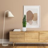 MID.YOU Umetna Rastlina Sansevieria | Shoptok.si