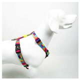 Paws & Whiskers Am za pse Spirit S | Eponuda.com
