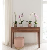 Keramička tegla za cvijeće ø 14 cm Thalia –  Keramička tegla za cvijeće ø 14 cm Thalia – Slike