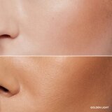 Bobbi Brown Bronzing Powder bronzer u kamenu nijansa Golden Light 9 g | shoptok.hr