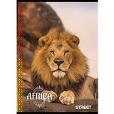  Bilježnica Street Young A4 karo 5 mm | shoptok.hr