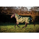 Horseware Ireland Pregrinjalo Amigo Hero Ripstop Plus Lite 0g, Bramble/Winterberry - 140 cm Cene
