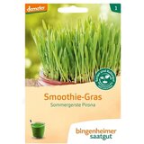 Bingenheimer Saatgut poletni ječmen Pirona "Smoothie-Grass" | Shoptok.si