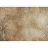  Foto tapeta - Golden Leaves of Time 350x256 Premium | shoptok.hr