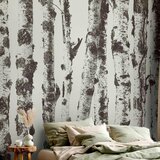 Artgeist Fototapeta Stately Birches, 200x140cm | Shoptok.si