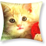 AVIZAR Komplet 2 prevlek za blazino 40x40 cm Kitten Beagle Design, Večbarvno, (21747288) Cene