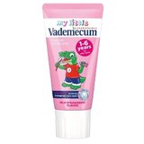 Vademecum Pasta za zube Junior strawberry, 50 ml Cene