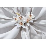  Samoljepljiva foto tapeta - Sensual Lilies 98x70 | shoptok.hr