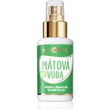 Purity Vision BIO osvežilna voda za obraz z meto 100 ml Cene