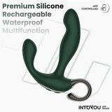 INTOYOU Vibracijski stimulator prostate Greeny (R900346) | Shoptok.si