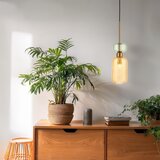  Luster na kablu MOLLY 1xE14/40W/230V prečnik 12 cm zlatna/narandžasta/zelena | Eponuda.com