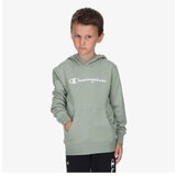 Champion Hooded sweatshirt | ePonuda.com