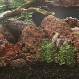 vidaXL Vulkanski kamen 25 kg rdeč 10-30 mm | Shoptok.si