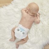 Kit & Kin plenice vel.1, 2-5 kg (40pak) 500065 | Shoptok.si