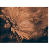  Tapeta - Gerbera in bronze 400x309 | shoptok.hr