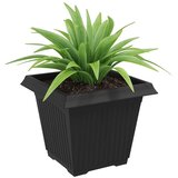  Kvadratna saksija za cvijeće 6 pcs Crna 38 x 38 x 30 cm | shoptok.hr