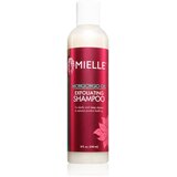 Mielle Mongongo Oil Exfoliating Shampoo eksfoliacijski šampon 240 ml Cene