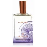 ženski parfem Citrus Noir edp 75ml