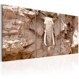  Slika - Stone Guard 60x30 Cijene