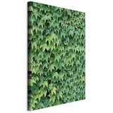  Slika - Thick Ivy (1 Part) Vertical 40x60 | shoptok.hr