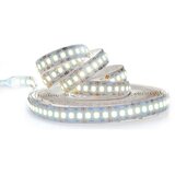 solight WM612 - led traka LED/80W/12V 5m hladno-bela | Eponuda.com