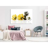  Slika - Calm Mallow (1 Part) Wide Yellow 120x80 | shoptok.hr