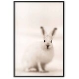  Plakat - Fearful Look 29.7x42 Crni okvir | shoptok.hr