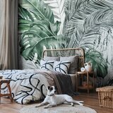  Foto tapeta - Dense Jungle 343x256 | shoptok.hr