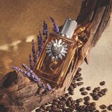 Dolce & Gabbana Devotion Pour Homme parfum za moške 100 ml | Shoptok.si