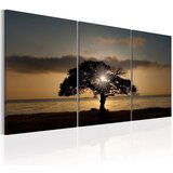  Slika - Extraordinary Nature 120x60 Cijene