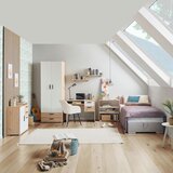 XXXL Predalnik Basic Two 2s 2 Predala, Hrast | Shoptok.si