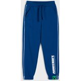 Sinsay Donji dio trenirke jogger Minecraft | shoptok.hr