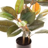 Ixia Umetni fikus (višina 90 cm) Ficus – | Shoptok.si