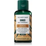 Ginger Shampoo šampon protiv peruti 60 ml