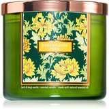 Bath & Body Works Greenhouse Fern mirisna svijeća 411 g Cijene