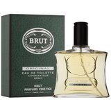 Faberge - BRUT edt vapo 100 ml | shoptok.hr