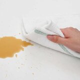  Krpe za čišćenje 10 kom bijele sa zelenim prugama 50 x 60 cm | Eponuda.ba