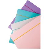  FASCIKL KLAPA S GUMICOM PP A4 PK4 FELLOWES 100041254 SORTIRANO | shoptok.hr