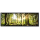  Slika - Daylight 150x50 U crnom drvenom okviru | shoptok.hr