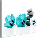  Slika - Calm Mallow (1 Part) Wide Turquoise 120x80 Cijene